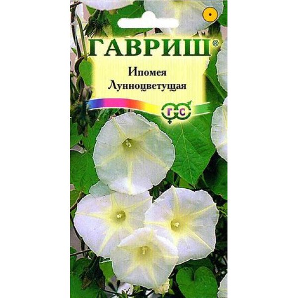 Іпомея Місяцеквітуча /3 насінини/ *Гавриш*