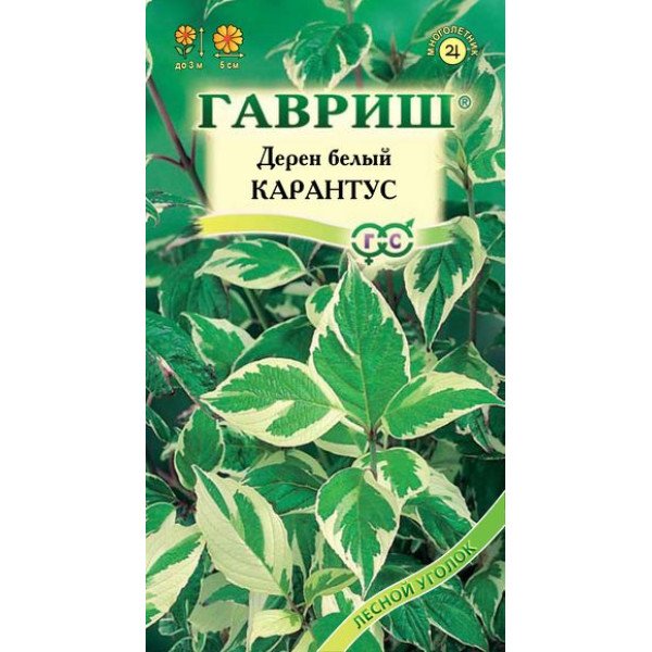 Дерен белый Карантус /0,1 г/ *Гавриш*