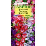 Пенстемон Хартвега Шансон /0,02 г/ *Гавриш*