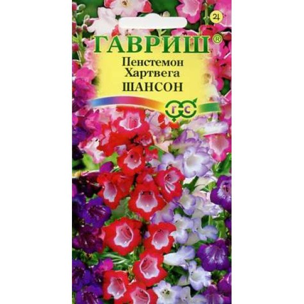 Пенстемон Хартвега Шансон /0,02 г/ *Гавриш*