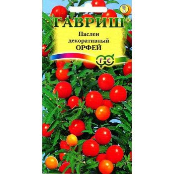 Паслён декоративный Орфей /12 семян/ *Гавриш*
