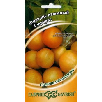 Физалис изюмный Сюрприз /20 семян/ *Гавриш*