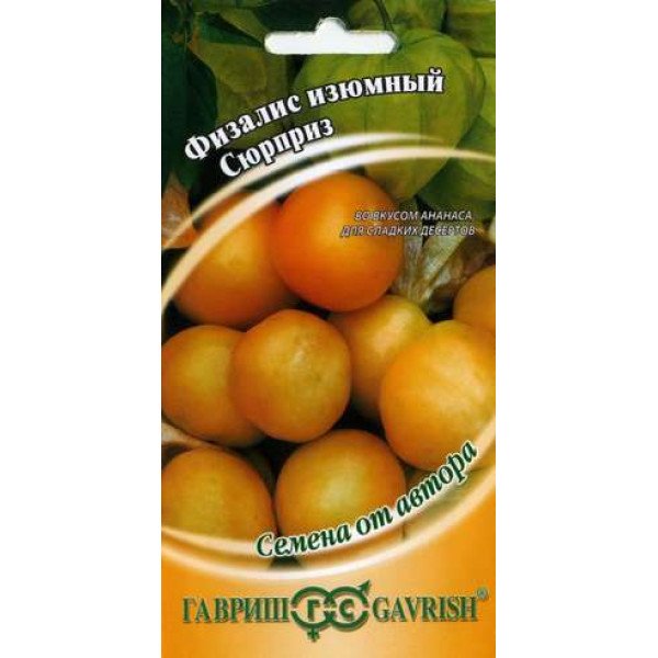 Семена физалиса изюмный Сюрприз /20 семян/ *Гавриш*