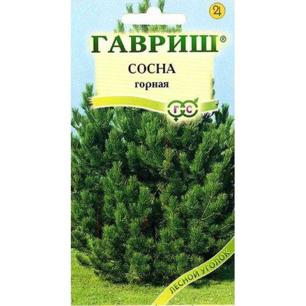 Сосна гірська /0,1 г/ *Гавриш*