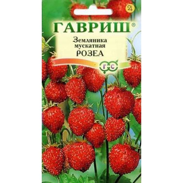 Насіння суниці мускатної Розеа /0,01 г/ *Гавриш*