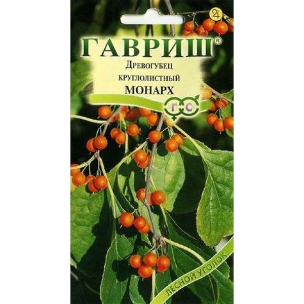 Древогубець круглолистий /0,2 г/ *Гавриш*