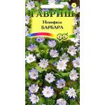 Немофила Барбара пятнистая /0,3 г/ *Гавриш*