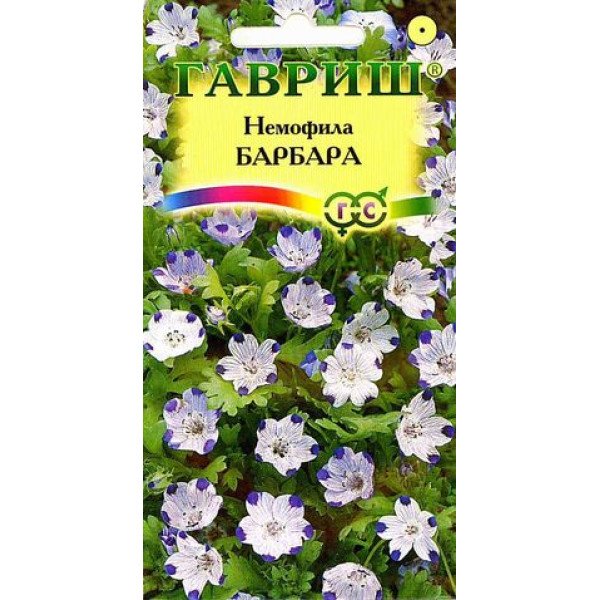 Немофила Барбара пятнистая /0,3 г/ *Гавриш*
