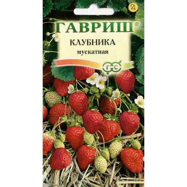 Насіння полуниці мускатна /0,01 г/ *Гавриш*