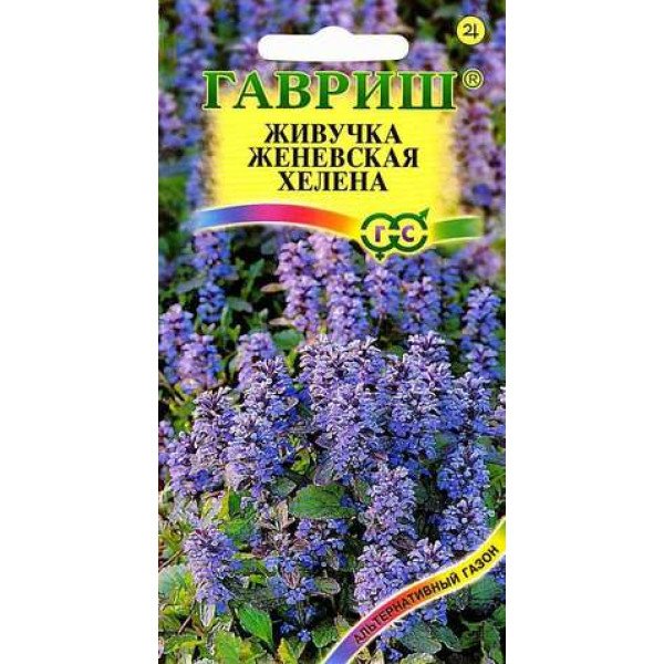 Живучка женевська Хелена /0,02 г/ *Гавриш*