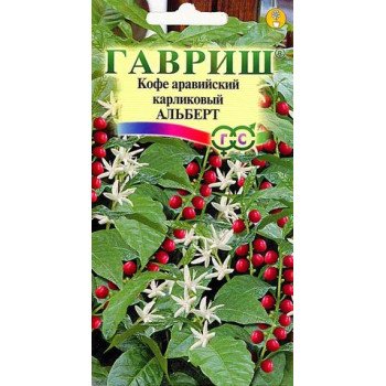 Кава аравійська карликова Альберт /5 насінин/ *Гавриш*
