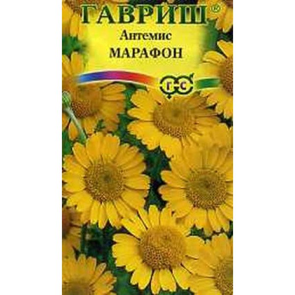 Семена антемиса Марафон /0,1 г/ *Гавриш*