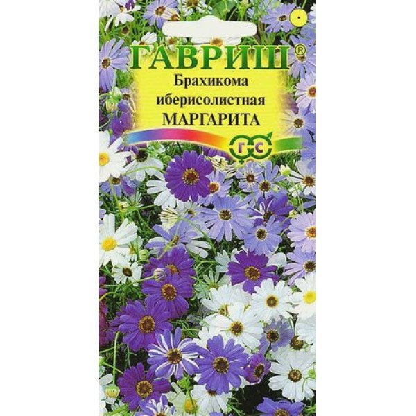 Брахикома Иберисолистная Маргарита /0,05 г/ *Гавриш*