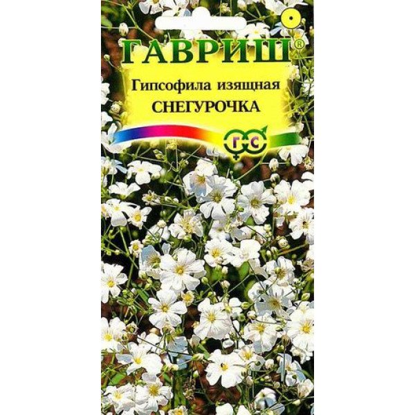 Гіпсофіла витончена Снігуронька /0,3 г/ *Гавриш*