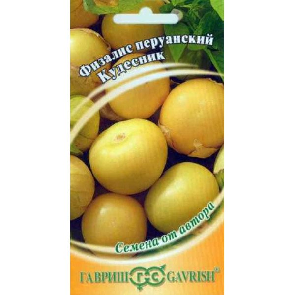 Насіння фізалісу Чарівник /20 насінин/ *Гавриш*