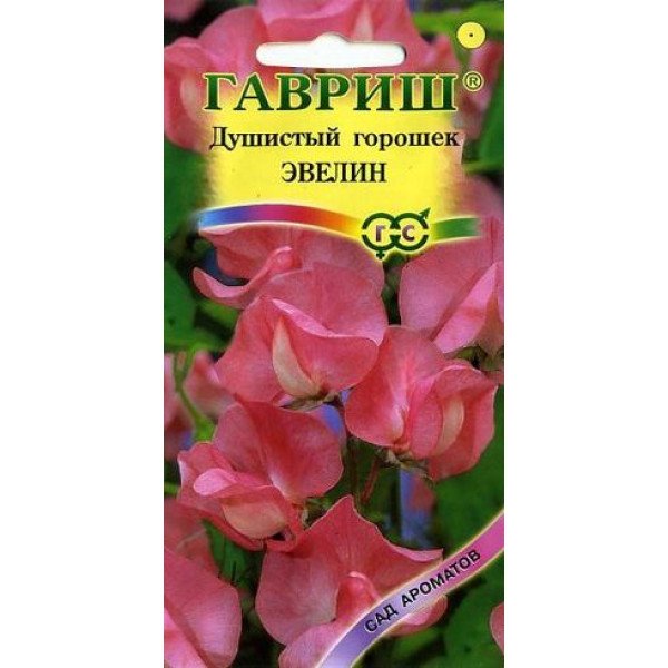 Горошок запашний Евелін лососево-рожевий /1 г/ *Гавриш*