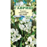 Горошек многолетний Белый /0,5 г/ *Гавриш*