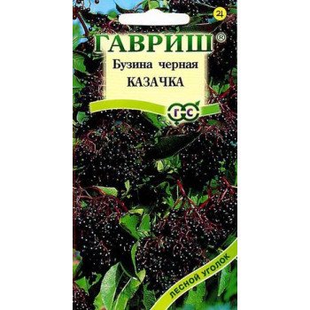 Бузина чорна Козачка /0,1 г/ *Гавриш*