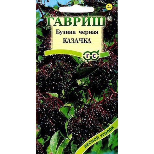 Бузина чорна Козачка /0,1 г/ *Гавриш*