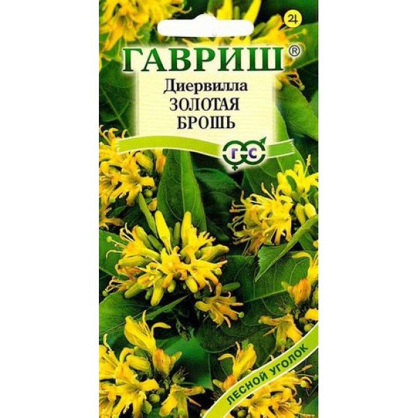 Диервилла сидячецветковая Золотая брошь /5 семян/ *Гавриш*