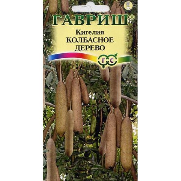 Кігелія Ковбасне дерево /3 насінини/ *Гавриш*