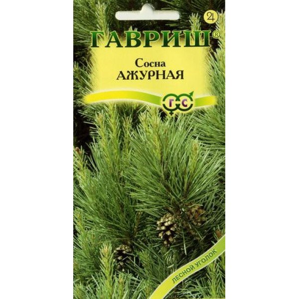 Сосна звичайна Ажурна /0,2 г/ *Гавриш*