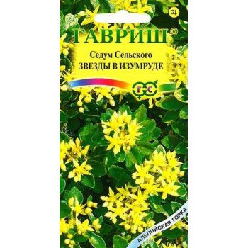 Седум сельскианум Звезды в изумруде /0,03 г/ *Гавриш*