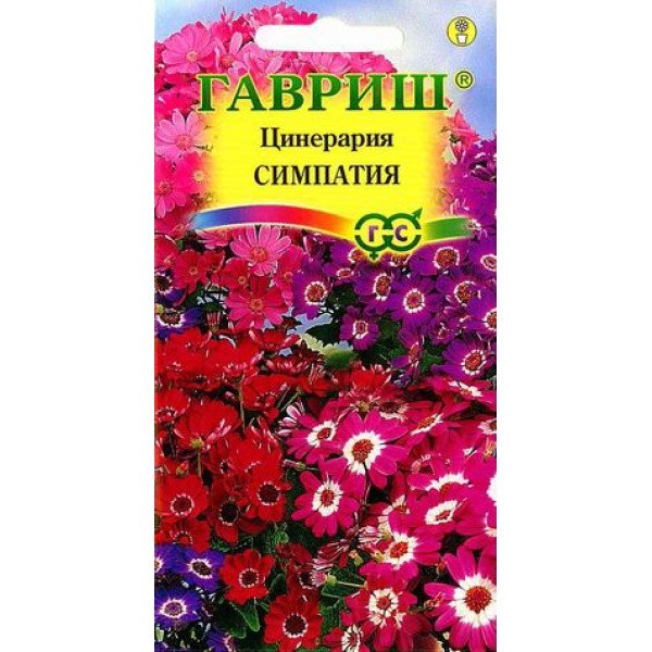 Насіння цинерарії гібридної Симпатія /10 насінин/ *Гавриш*