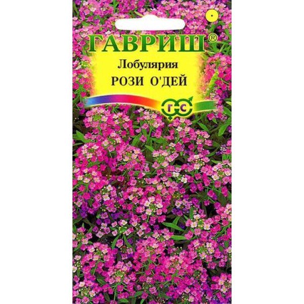 Лобулярия Рози о Дей /0,1 г/ *Гавриш*