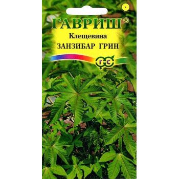 Рицина Занзібар Грін /5 насінин/ *Гавриш*