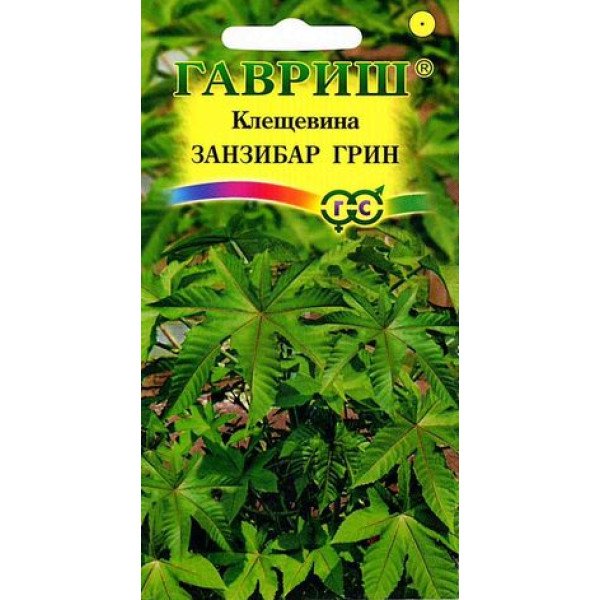 Клещевина Занзибар Грин /5 семян/ *Гавриш*