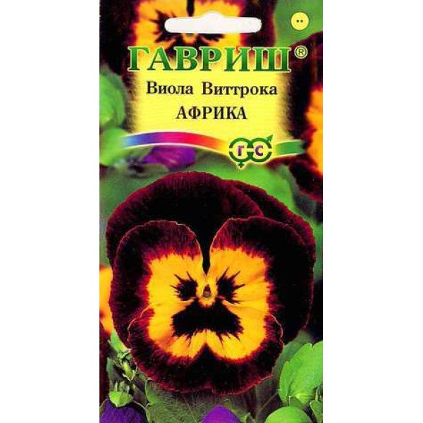 Семена виолы Африка /0,1 г/ *Гавриш*