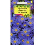 Брахікома Блакитна ніженка /0,05 г/ *Гавриш*