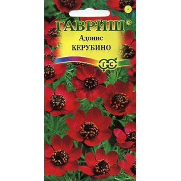 Семена адониса летнего Керубино /0,2 г/ *Гавриш*