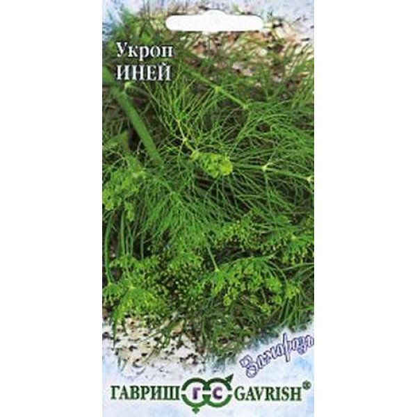 Семена укропа Иней /2,0 г/ *Гавриш*