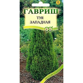 Туя западная Канди Страйп /0,05 г/ *Гавриш*