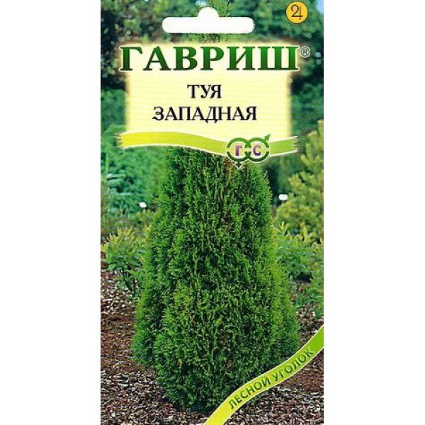 Туя западная Канди Страйп /0,05 г/ *Гавриш*