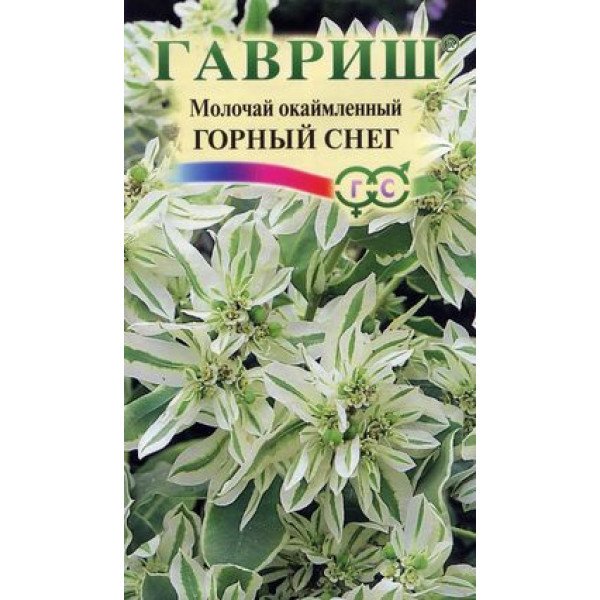 Молочай облямований Гірський сніг /0,5 г/ *Гавриш*
