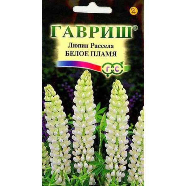 Люпин Рассела Белое пламя /0,5 г/ *Гавриш*