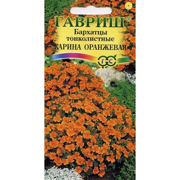 Бархатцы Карина оранжевая /0,05 г/ *Гавриш*