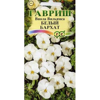 Виола Белый бархат /5 семян/ *Гавриш*