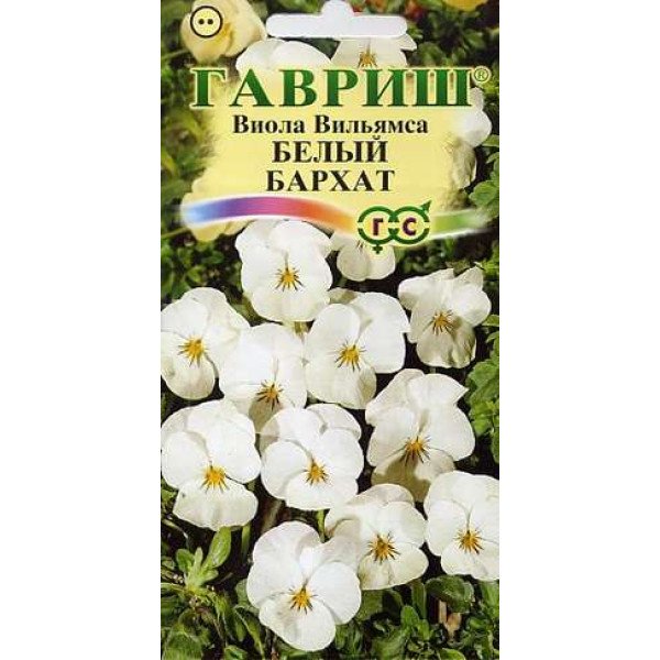 Виола Белый бархат /5 семян/ *Гавриш*