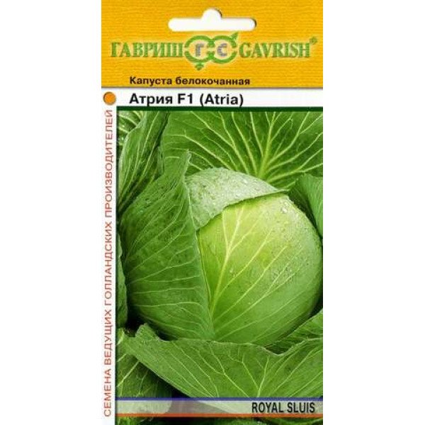 Насіння капусти білоголової Атрія F1 /10 насінин/ *Гавриш*