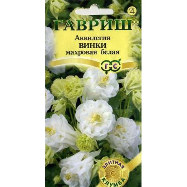 Семена аквилегии Винки белая /5 семян/ *Гавриш*