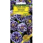 Аквілегія Вінкі синя з білим /5 насінин/ *Гавриш*