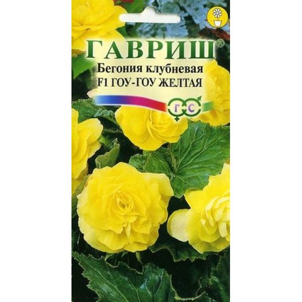 Бегонія Гоу-гоу F1 жовта /4 насінини/ *Гавриш*