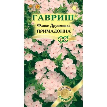 Флокс Примадонна /8 семян/ *Гавриш*