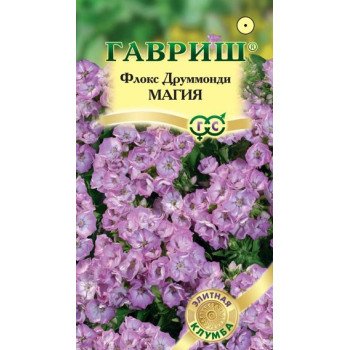Флокс Магия /8 семян/ *Гавриш*
