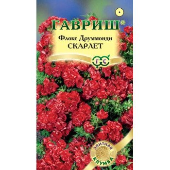 Флокс Скарлет /8 семян/ *Гавриш*