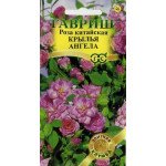 Троянда китайська Крила ангела /5 насінин/ *Гавриш*